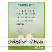 Clicca per vedere i calendari