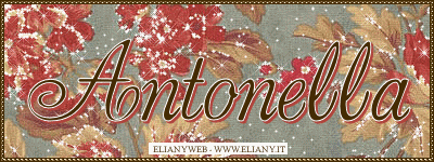 nome glitter antonella