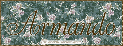 nome glitter armando