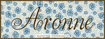 nome glitter aronne