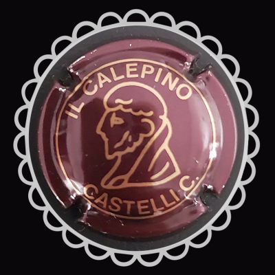 Capsula Il Calepino